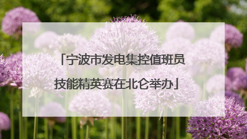 宁波市发电集控值班员技能精英赛在北仑举办