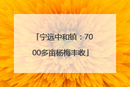 宁远中和镇：7000多亩杨梅丰收