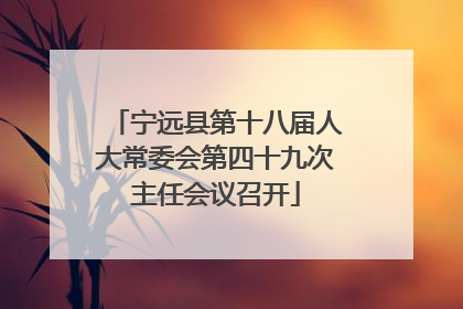宁远县第十八届人大常委会第四十九次主任会议召开