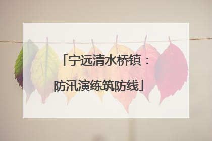 宁远清水桥镇：防汛演练筑防线