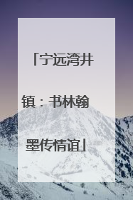 宁远湾井镇：书林翰墨传情谊