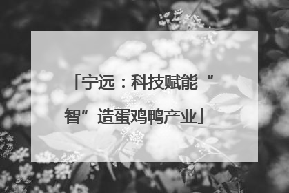 宁远：科技赋能“智”造蛋鸡鸭产业