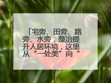 宅旁、田旁、路旁、水旁，整治提升人居环境，这里从“一处美”向“全域美”蝶变