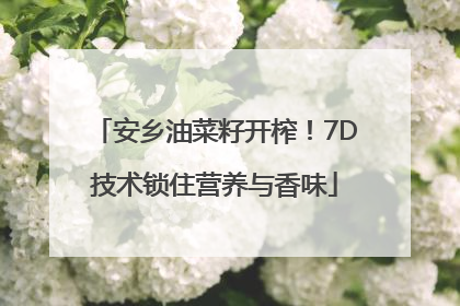 安乡油菜籽开榨！7D技术锁住营养与香味
