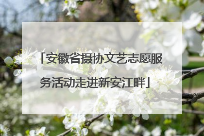 安徽省摄协文艺志愿服务活动走进新安江畔