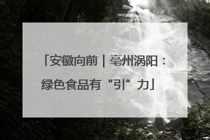 安徽向前｜亳州涡阳：绿色食品有“引”力