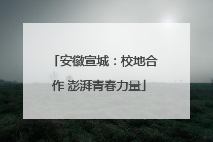 安徽宣城：校地合作 澎湃青春力量