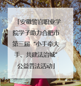 安徽警官职业学院学子助力合肥市第三届“小手牵大手、共建法治城”公益普法活动