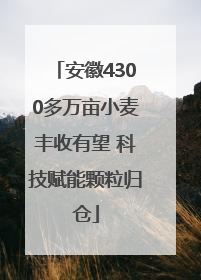 安徽4300多万亩小麦丰收有望 科技赋能颗粒归仓