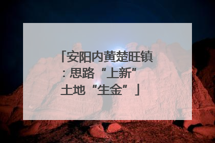 安阳内黄楚旺镇：思路“上新” 土地“生金”