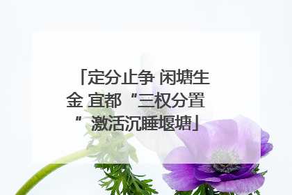 定分止争 闲塘生金 宜都“三权分置”激活沉睡堰塘