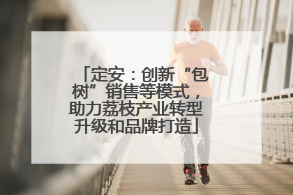 定安：创新“包树”销售等模式，助力荔枝产业转型升级和品牌打造