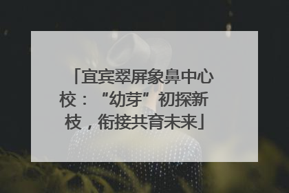 宜宾翠屏象鼻中心校：“幼芽”初探新枝，衔接共育未来