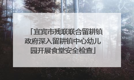 宜宾市残联联合留耕镇政府深入留耕镇中心幼儿园开展食堂安全检查