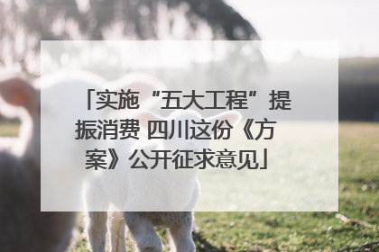 实施“五大工程”提振消费 四川这份《方案》公开征求意见