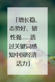 增长稳、态势好、韧性强……透过关键词感知中国经济活力