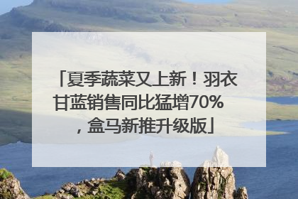 夏季蔬菜又上新！羽衣甘蓝销售同比猛增70%，盒马新推升级版