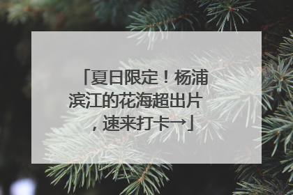 夏日限定！杨浦滨江的花海超出片，速来打卡→