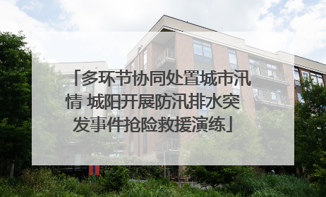 多环节协同处置城市汛情 城阳开展防汛排水突发事件抢险救援演练