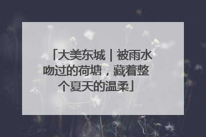 大美东城｜被雨水吻过的荷塘，藏着整个夏天的温柔