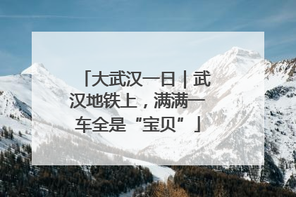 大武汉一日｜武汉地铁上，满满一车全是“宝贝”