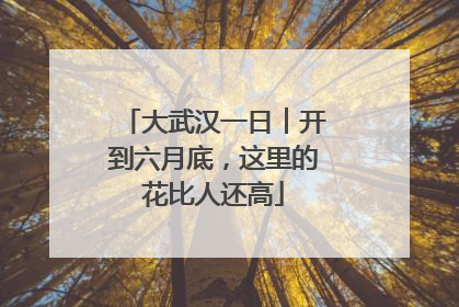 大武汉一日︱开到六月底，这里的花比人还高