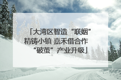 大湾区智造“联姻”精铸小镇 嘉禾借合作“破茧”产业升级