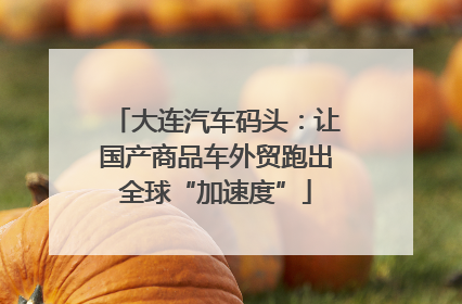 大连汽车码头：让国产商品车外贸跑出全球“加速度”
