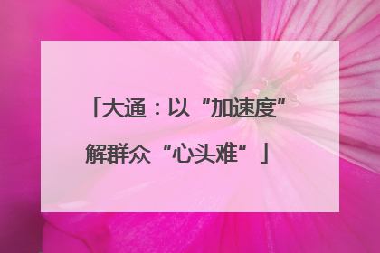 大通：以“加速度”解群众“心头难”