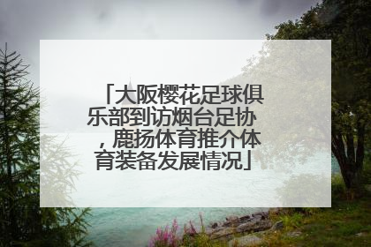 大阪樱花足球俱乐部到访烟台足协，鹿扬体育推介体育装备发展情况