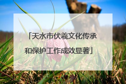 天水市伏羲文化传承和保护工作成效显著