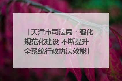 天津市司法局：强化规范化建设 不断提升全系统行政执法效能