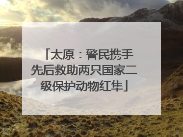 太原：警民携手 先后救助两只国家二级保护动物红隼