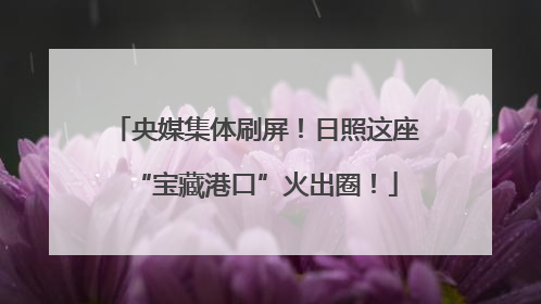 央媒集体刷屏！日照这座“宝藏港口”火出圈！