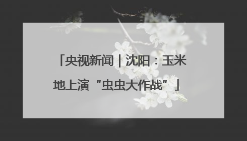 央视新闻｜沈阳：玉米地上演“虫虫大作战”
