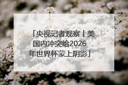 央视记者观察丨美国内冲突给2026年世界杯蒙上阴影