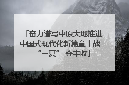 奋力谱写中原大地推进中国式现代化新篇章丨战“三夏” 夺丰收