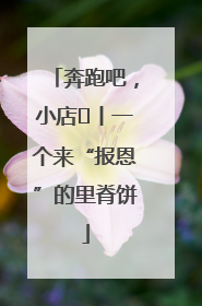 奔跑吧，小店㉝丨一个来“报恩”的里脊饼