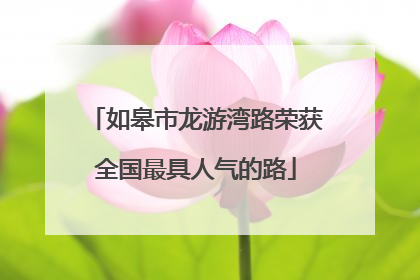 如皋市龙游湾路荣获全国最具人气的路