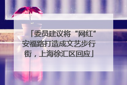 委员建议将“网红”安福路打造成文艺步行街，上海徐汇区回应