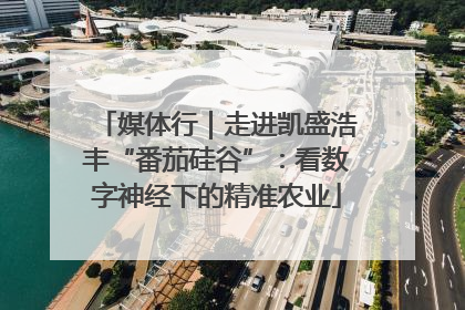 媒体行｜走进凯盛浩丰“番茄硅谷”：看数字神经下的精准农业