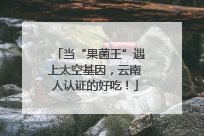 当“果菌王”遇上太空基因，云南人认证的好吃！