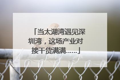当太湖湾遇见深圳湾，这场产业对接干货满满……