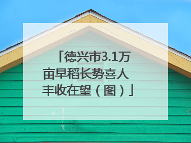 德兴市3.1万亩早稻长势喜人 丰收在望（图）