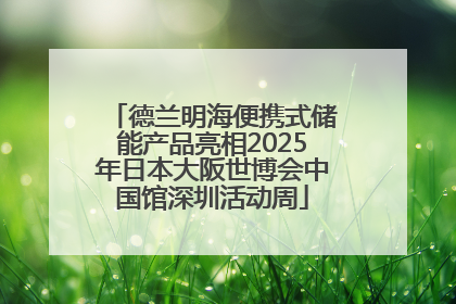 德兰明海便携式储能产品亮相2025年日本大阪世博会中国馆深圳活动周