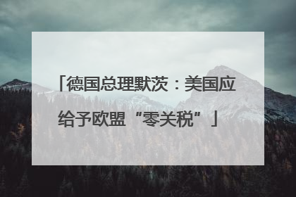 德国总理默茨：美国应给予欧盟“零关税”