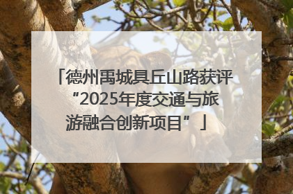 德州禹城具丘山路获评“2025年度交通与旅游融合创新项目”