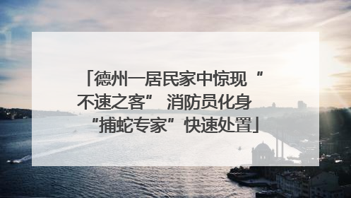 德州一居民家中惊现“不速之客” 消防员化身“捕蛇专家”快速处置
