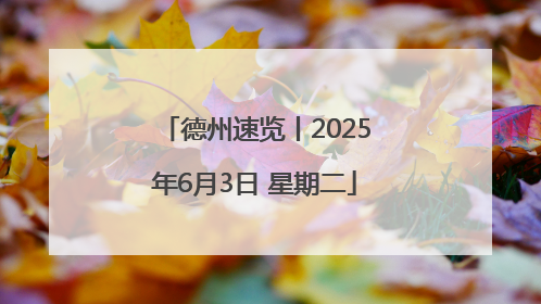 德州速览丨2025年6月3日 星期二