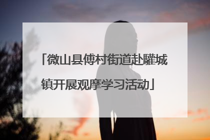 微山县傅村街道赴驩城镇开展观摩学习活动